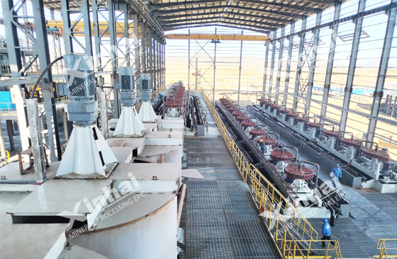 flotation cell for Lithium processing.jpg